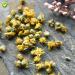 Buy Wild Chrysanthemum Tea - Authentic Chinese Tea 60g | Health Benefits | International Shipping - Buy Online on SooperMarket.com