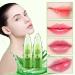 2-Pack Aloe Vera Lipstick: Long-Lasting, Nutritious & Moisturizing Lip Care | Magic Color Changing Crystal Jelly Lipstick | Matte Makeup Tinted Lip Balm (Green A) - Buy Online on SooperMarket.com