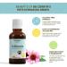 Dr Corbyn Pets Echinacea Drops 50ml | Immunity Support for Dogs & Cats | Natural Echinacea Supplement - Buy Online on SooperMarket.com