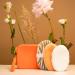 Reusable Sustainable Wash Set Apricot Cosmetic Bag with Makeup Pad Toner and Exfoliator Washable Perfect Travel Set for Women Teens Adults - Buy Online on SooperMarket.com