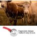 Buy Stainless Steel 6 Ring Curry Comb for Horses Sheep & Cows - Relieve Itching & Shedding (4 Turns) - International Shipping Available - Buy Online on SooperMarket.com