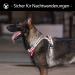 Buy POPOT No Pull Dog Harness - Reflective Front Vest for Daily Training Walking & Running | Red XL - Buy Online on SooperMarket.com