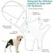 Dog Knee Brace for Torn Knee Brace for Dogs Dog Knee Braces for Back Leg ACL Hind Leg Adjustable Dog Acl Knee Brace Support for Large and Small Dogs with ACL CCL Cruciate Ligament Injuries - Buy Online on SooperMarket.com