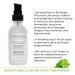 Sashapure Smoothing & Shine Hair Treatment with Sacha Inchi Oil - Frizz Control & Heat Protection - 1.7 fl. oz (Pack of 6) - Buy Online on SooperMarket.com