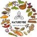 Naturevibe Botanicals Organic Green Cardamom Ground 3.5oz - Non-GMO, Gluten Free Indian Spice for Digestion - Buy Online on SooperMarket.com