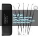 6 Pack Dental Tools Set - Professional Stainless Steel Oral Care Kit with Case | Tooth Scraper, Plaque & Tartar Remover - Buy Online on SooperMarket.com
