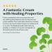 A'PIEU Madecassoside 2X Cream 4.06oz for Combination Skin - Soothes Dryness, Sun Damage, Dark Spots - Centella Asiatica Formula - Buy Online on SooperMarket.com