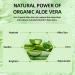 Aloe Vera Cream 98% Aloe Vera Face Cream Face & Body Moisturizing Cream with Organic Aloe Vera Gel Aloe Vera Face Moisturizer Nourishing Smoothing Moisturizing Lotion for Face & Body - Buy Online on SooperMarket.com