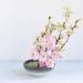Wazakura Minoyaki Series Japanese Ikebana Essential Tool Kit - White & Blue Kenzan + Brass Kenzan - Floral Arranging Set - Buy Online on SooperMarket.com
