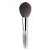 Trish McEvoy Women's Brush 37 Bronzer 1 Count 1.0