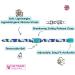 Kittyrama Botanical Cat Collars - Hypoallergenic Quick Release Veterinarian Approved - Award-Winning Comfort for Cats & Kittens - Buy Online on SooperMarket.com