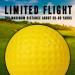 CHAMPKEY Practice Foam Golf Balls 16 Pack - Limited Flight Yellow Training Balls for Indoor & Outdoor Use - Buy Online on SooperMarket.com