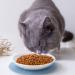 Ceramic Cat Food Plates and Wide Bowls for Stress-Relief Whisker Fatigue | Cat Feeding Dishes in White & Black - Buy Online on SooperMarket.com