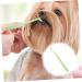 BELLIFFY 1pc Fine Fiber Plastic Cat Toothpaste Kitten Toothbrush Pet Supplies Pet Toothbrush - Buy Online on SooperMarket.com