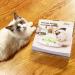 Pettom Interactive Cat Toy | Electric Butterfly Funny Exercise Toy for Kittens | Rotating Pop N Play Toy with Replacement Feathers | Green - Buy Online on SooperMarket.com