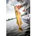 Berkley Gulp! Alive! 1-Inch Minnow Smelt - Realistic and Lifelike Fishing Bait - Buy Online on SooperMarket.com