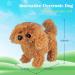 WorWoder Interactive Plush Teddy Dog Toy - Walking, Barking, Wagging Tail - Fun Companion Pet for Kids (Teddy Dog) - Buy Online on SooperMarket.com