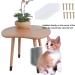 Pinsheng Cat Self Groomer 2 Pack Wall Corner Massage Comb with Catnip Pouch Grooming Comb Brush Massage Tool for Cats with Long and Short Fur(Blue&Gray) - Buy Online on SooperMarket.com