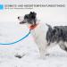 Toozey Waterproof Dog Drag Line - 3m to 20m Leashes Robust Training Lines for All Dog Sizes Includes Hand Loop & Mains Bag - Perfect for Reliable Outdoor Training - Buy Online on SooperMarket.com