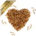 Lyra PET 3 kg Mealworms for Rodents | Gently Dried High-Protein Food for Hamsters Rats & Racing Mice | Rich in Vitamins & Minerals | Natural Energy Dispenser - Buy Online on SooperMarket.com