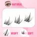 100pcs Cluster Lashes D Curl Individual Eyelashes DIY Lash Clusters Wispy Cluster Eyelash Extensions Manga Look Lahes Idividual Custer DIY Eyelashes Extensions by Goddvenus Natural Clusters-QC - Buy Online on SooperMarket.com