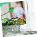 SEWOART 2pcs Ant Water Feeder Ants Ant Nest Water Feeder Ant Liquid Feeder Pet Waterer Transparent Acrylic - Buy Online on SooperMarket.com