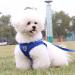 Buy LOOK ANDES Small Dog Harness & Leash Reflective Soft Padded Air-Mesh for XS Puppies & Cats (24-27cm Chest) Blue - Buy Online on SooperMarket.com