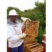 Pure Linden Honeydew Honey - 500g | Raw & Natural | Ethically Harvested | Boosts Vitality and Immunity | Sustainable Packaging - Buy Online on SooperMarket.com