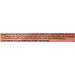 Trader Joe's Triple Ginger Snap Cookies 14oz (2 Pack) - Delicious Snack - Buy Online on SooperMarket.com