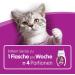 Whiskas Cat Milk for Cats from 6 weeks - Delicious Snack for a Happy Cat - Lactose-free and Easily Digestible - Different Sizes Milk 3 l (Pack of 1) - Buy Online on SooperMarket.com