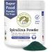 Wholistic Pet Organics Spirulina for Dogs: Organic Spirulina Powder Superfood Dog Multivitamin - Nutrient and Mineral Rich Spirulina Supplement - 4 Oz