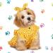 Frienda Cat and Dog Princess Floral Dress Set with Headband, Red and Yellow Floral Dress (M) - Spring/Summer Holiday Fashion - Buy Online on SooperMarket.com