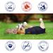 MPS Medical Pet Shirt - TAZ2 Double Front Leg Sleeve for Dog X-Small - Buy Online on SooperMarket.com
