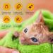 Nobleza Dog & Cat Shampoo | Anti-Itching Anti-Bacterial Sensitive Formula for Puppies & Kittens | 250ml Lemon Grass - Buy Online on SooperMarket.com