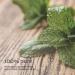 100% Pure & Natural Peppermint Oil - 4 oz. (Two Pack) | Premium Quality - Buy Online on SooperMarket.com