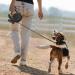 Retractable Dog Lead 8M/26ft Extendable Dog Lead Extendable with Non-Slip Handle & Adjustable Dog Lead with LED Flashlight Waste Dispenser Bags One-Hand Brake for Night Walking Running Jogging Black - Buy Online on SooperMarket.com