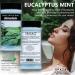 Spazazz Aromatherapy Spa & Bath Crystals 2PK - Eucalyptus Mint & Tropical Rain - 8.5 Oz for Relaxation & Wellness - Buy Online on SooperMarket.com