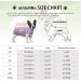 oUUoNNo Recovery Suits for Dogs Cats Surgical Recovery Suit for Female Male Abdominal Wounds Spay or Skin Diseases Cone E-Collars Alternatives Anti-Licking Pet Vest Post Surgery (XXXL Purple stripe) XXXL Purple stripe - Buy Online on SooperMarket.com