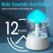 Rain Cloud Humidifier with Remote & Waterfall Lamp - White Noise & Rain Sounds for Bedroom Desk - Air Humidifier - Buy Online on SooperMarket.com
