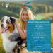 Dog Fit by Prethis - Vegan B Vitamin Complex for Dogs | Nerve Strengthening Incontinence & Nervousness Support | Large Animals (25kg+) - Buy Online on SooperMarket.com