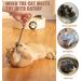 Tsathoggua 4 pcs Matatabi Silvervine Chew Sticks Natural Cat Chew Toy Catnip Toy for Cats Cat Sticks Cat Teeth Nip Cat Teeth Cleaning Kitty Dental Chew Stick Kitten Teething and Stress Release - Buy Online on SooperMarket.com