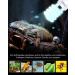Doright UVA UVB Light 10.0 26W-E27 for Reptiles | UVB Lighting Kit for Chameleons & Leopard Geckos | International Shipping - Buy Online on SooperMarket.com
