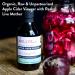 Organic WILLY'S Apple Cider Vinegar with Mother - 5L Jerry Can - Probiotics for Detox & Gut Health - Sustainable ACV - 5 l (1 Pack) - Buy Online on SooperMarket.com