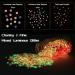 Glow in The Dark Pigment Powder Set - 15 Jars, 12 Color Glow Pigment, 3 Color Luminous Flake with UV Lamp - Epoxy Resin Luminous Powder for Slime, Skin & Nails - Long Lasting Self Glowing Dye for DIY Crafts - Buy Online on SooperMarket.com