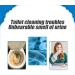 Toilet Cleaner Foam Toilet Cleaner 2023 Upgrade Toilet Cleaner Cleaner Foaming for Toilet Natural Toilet Cleaner Toilet Active Oxygen Agent Easy to Use (2Pcs) - Buy Online on SooperMarket.com