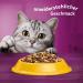 Whiskas Chicken Nuggets for Cats - 3.8 kg | Premium Cat Food - International Shipping Available - Buy Online on SooperMarket.com