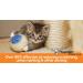 ThunderEase Cat Calming Pheromone Diffuser Kit | Powered by FELIWAY | Reduce Scratching, Urine Spraying, Marking, and Anxiety - 30 Day Supply - Buy Online on SooperMarket.com
