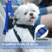 Oyefly Universal Dog Seat Belt Elastic Safety Belt for Dogs & Cats | Strong Carabiners | Fits All Car Types (Blue) - Buy Online on SooperMarket.com