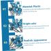 Zerodeko 6pcs Berry Bunch Cuttings Artificial Red Berry Stems Green Decor Wedding Decorations Artificial Berry Twig Stem Holly Berries for Crafts Ornament Plastic Christmas Plant Blue 30x10cm - Buy Online on SooperMarket.com