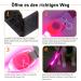 Buy Laroo Waterproof LED Light Band for Dogs & Cats - Bright Easy Attach Flashing Collar Light in Pink - Buy Online on SooperMarket.com